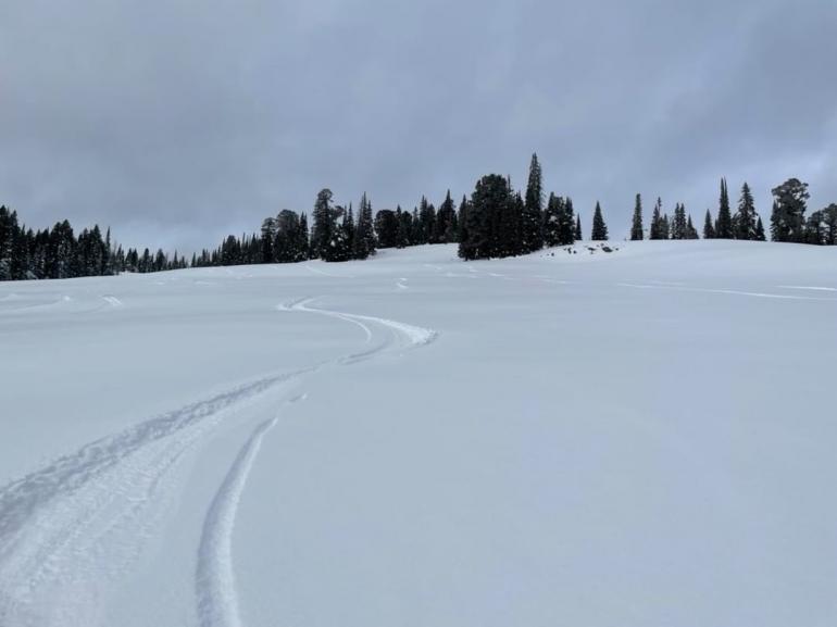 backcountry skiing, ski touring, yellowstone