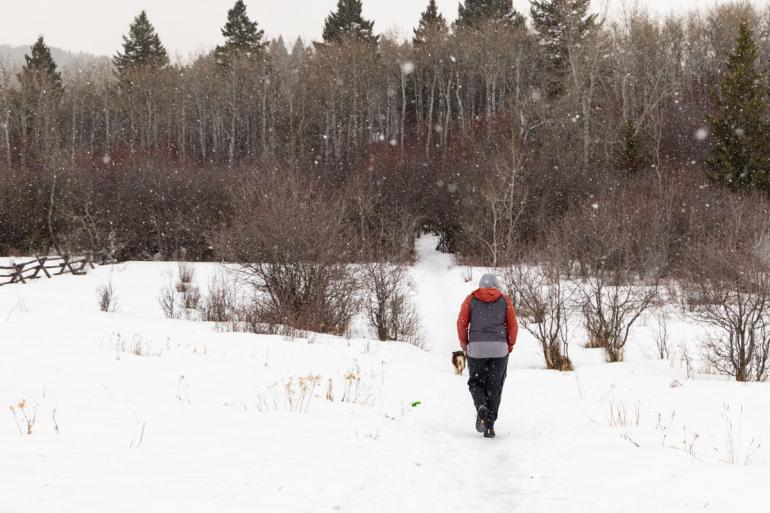 hiking, trails, winter, bozeman