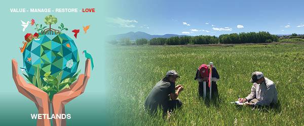 sacajawea audubon, birding