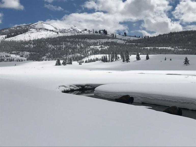 nordic skiing, cross country, yellowstone national park