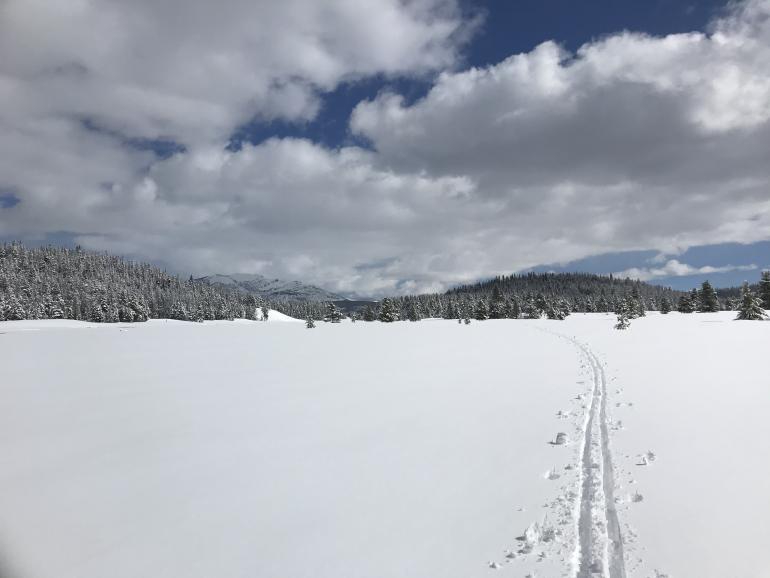 cross country, nordic skiing, yellowstone national park