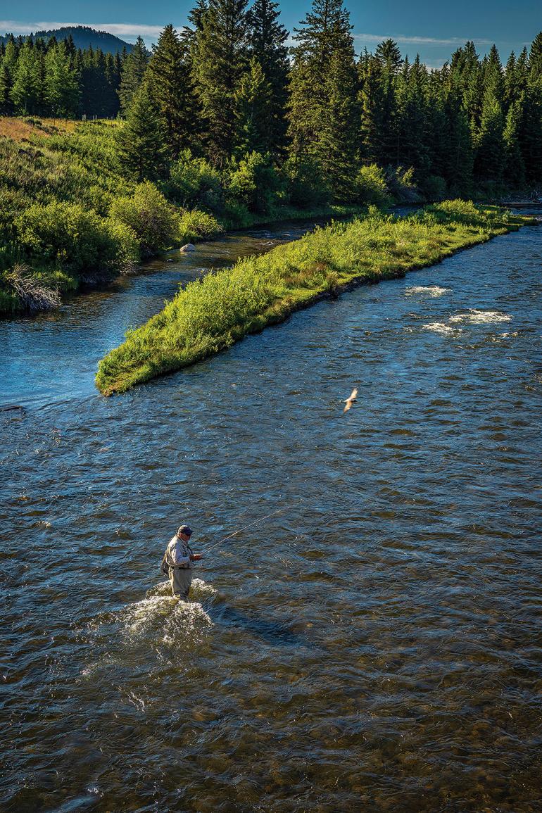 fishing regulations madison river