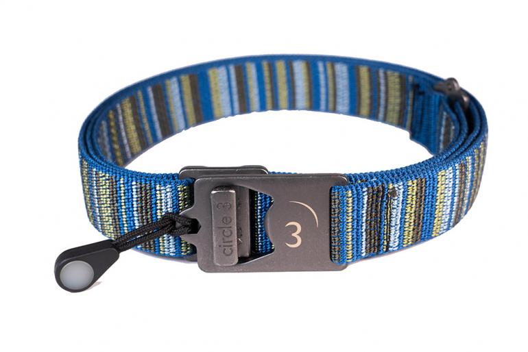 C3 connect dog collar