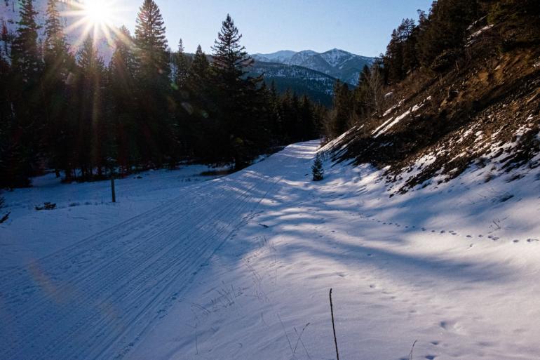 winter, trails, xc skiing, nordic