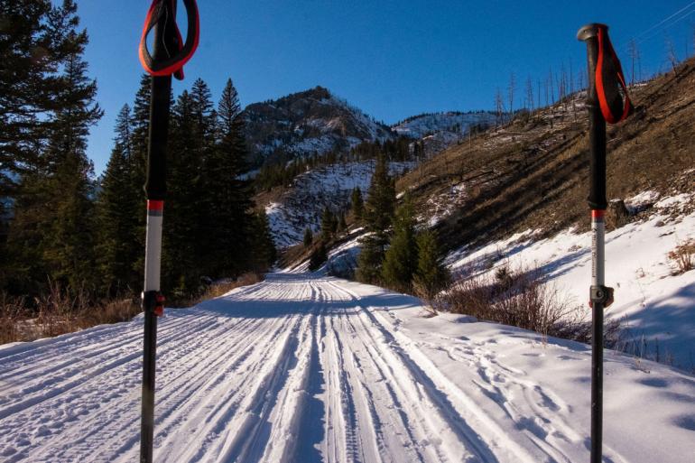 winter, trails, xc skiing, nordic