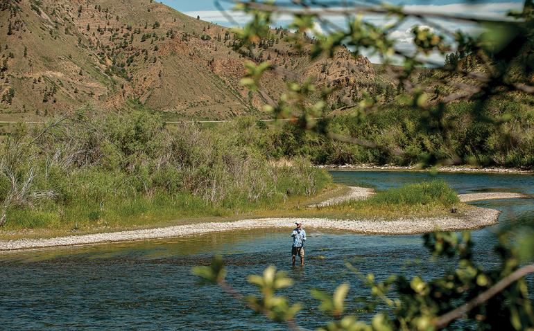 fishing missouri river montana