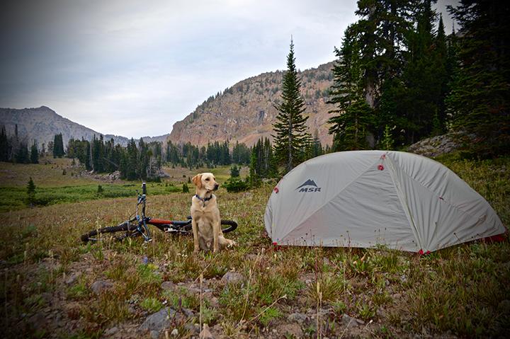 camping, hiking, & backpacking