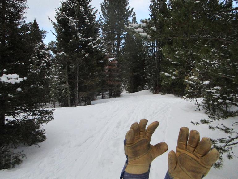 winter trail, hands, gloves, montana, bozeman, cold, raynaud's
