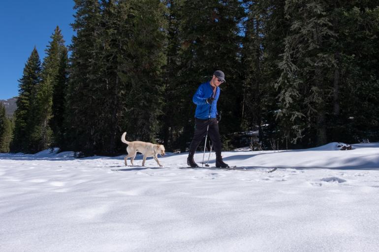 Hyalite Canyon Nordic