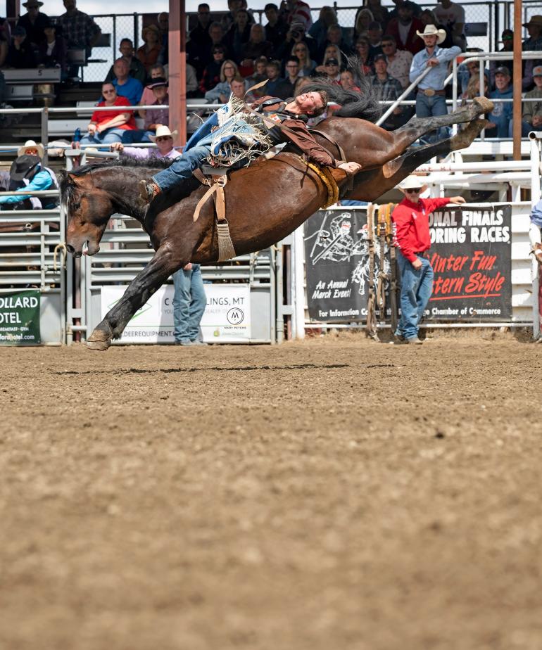 Red Lodge Rodeo Outside Bozeman