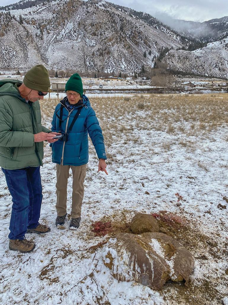 Bison guts Beatie Gulch, Yellowstone Park buffalo hunt