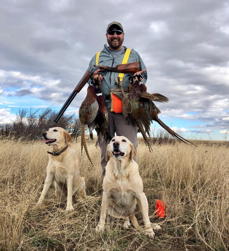 pheasant hunting montana missouri headwaters gun dog club