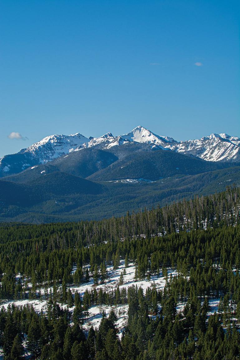 Mount Blackmore Gallatin range bozeman