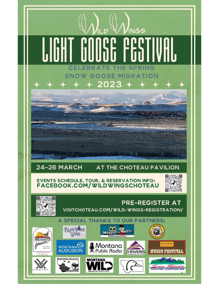 Light Goose Festival
