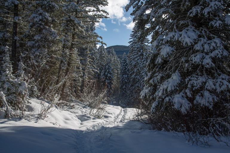 New World Gulch Trail Winter
