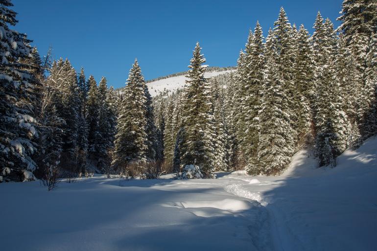 New World Gulch Trail Winter