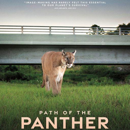 Path of the Panther