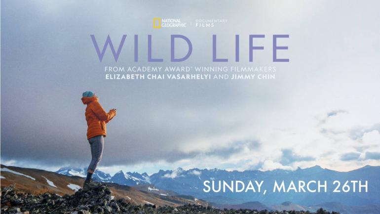 Wild Life Film