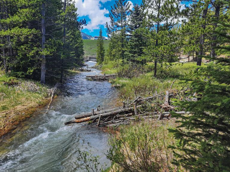 large woody debris trout stream restoration