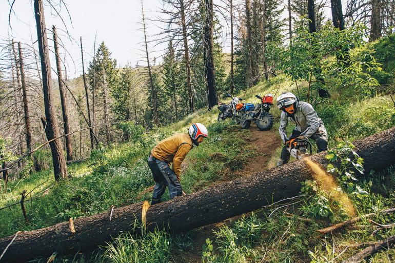 Cutting log off trail