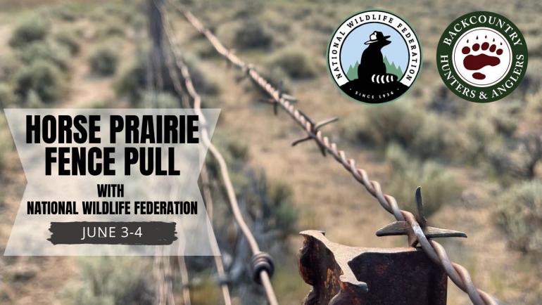 BHA Horse Prairie Fence Pull