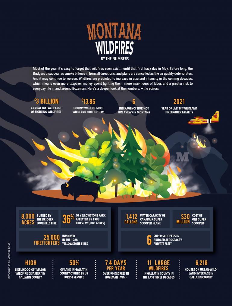 Montana Wildfires By The Numbers