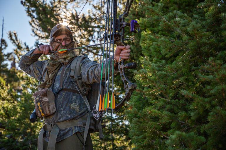 archery bow hunt montana