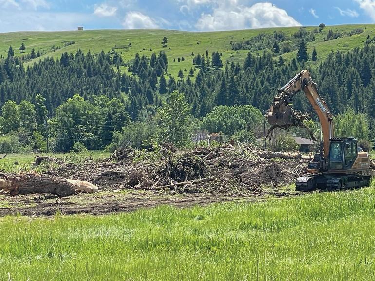Bozeman tree removal bulldozer