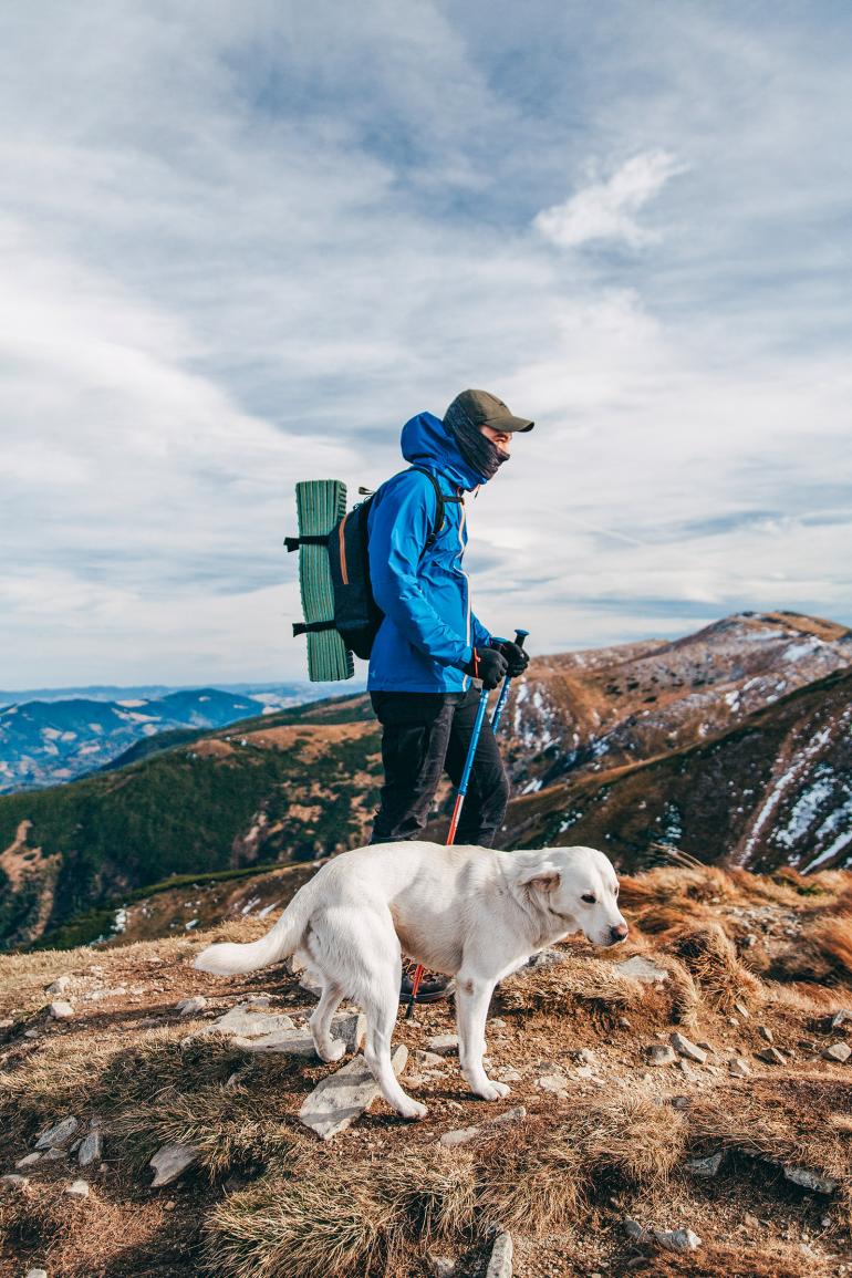 Hiker mountains dog