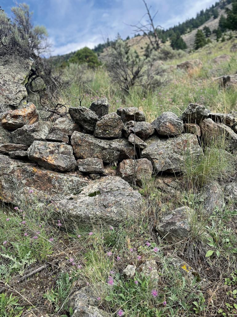 Sheep hunting blind Montana