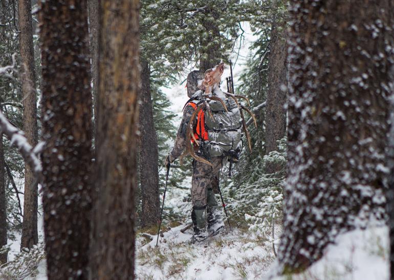 Carrying elk in backpack in woods