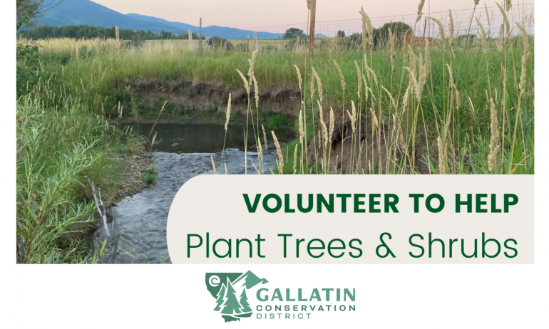 Volunteer to Plant Trees & Shrubs