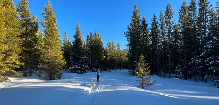 Wildhorse Nordic Ski Trail
