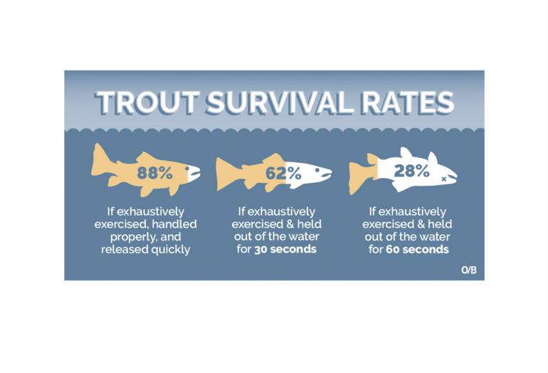 Trout Survival Rates Sticker