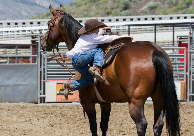 Gardiner Rodeo