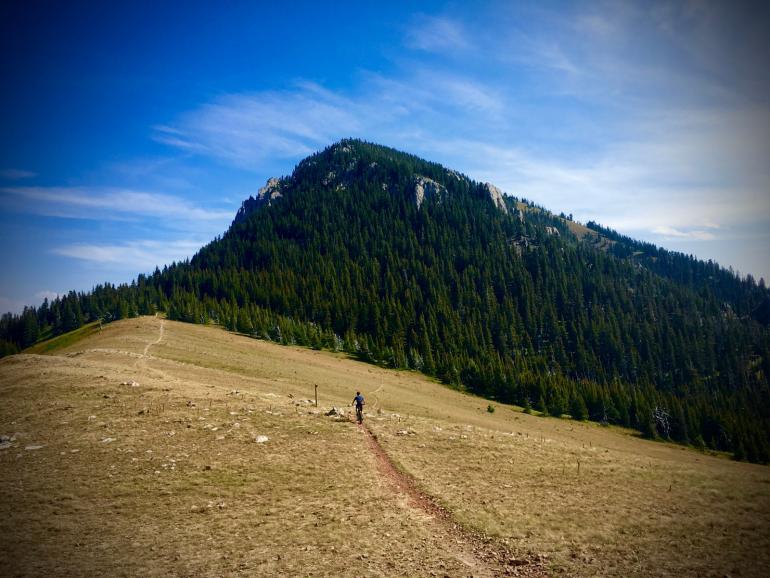 Ross Pass Trail Mountain Bike