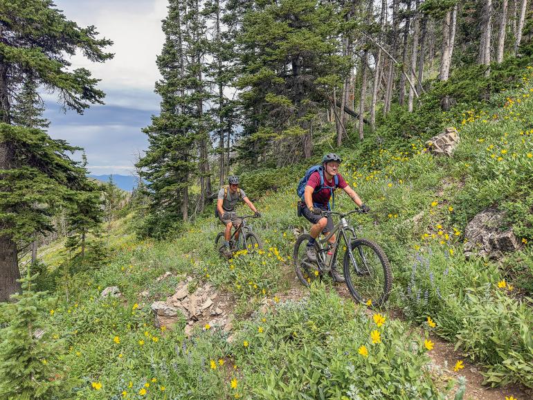 Biking Lionhead