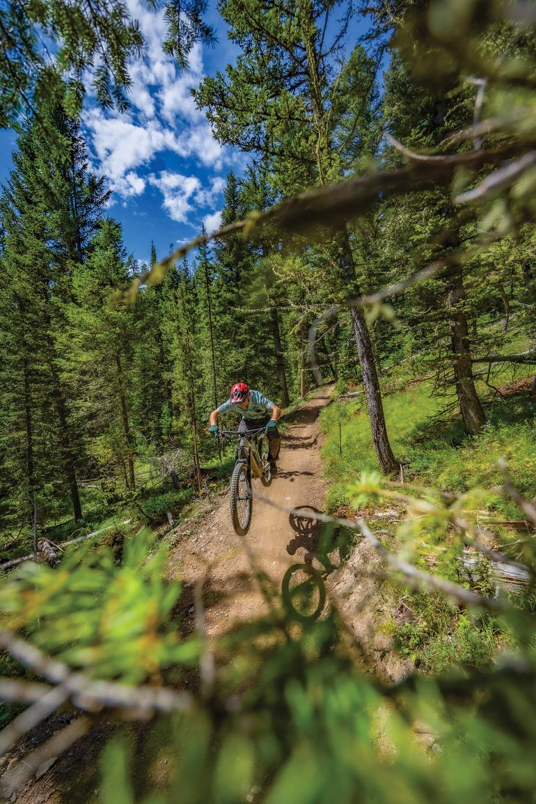 Biking Mountains to Meadows