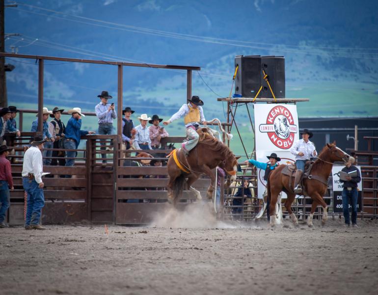 Bull Rider Valley View Rodeo