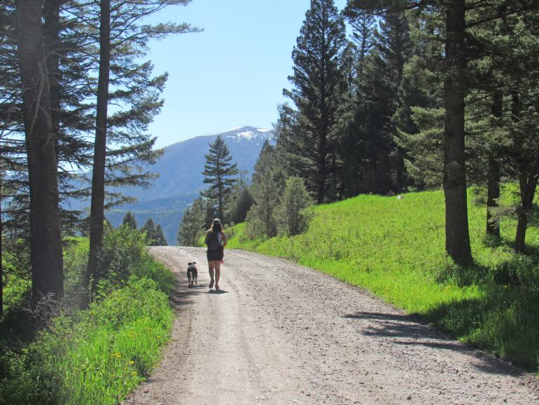 Stone Creek Road