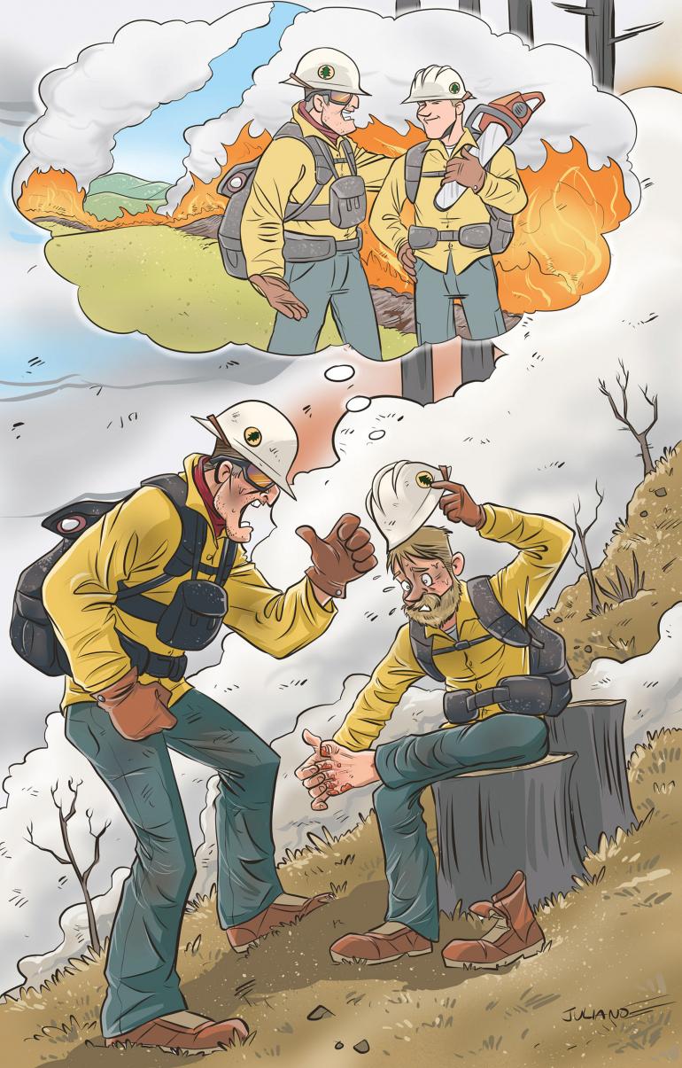 Dream vs reality wildland firefighting