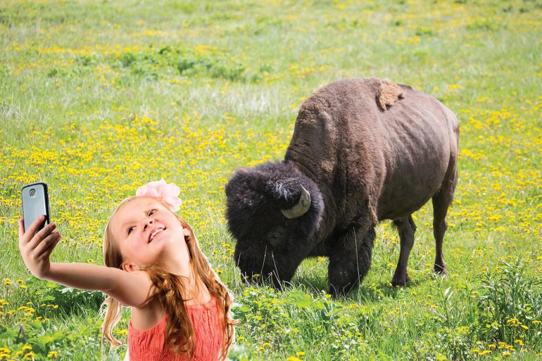 selfie with bison