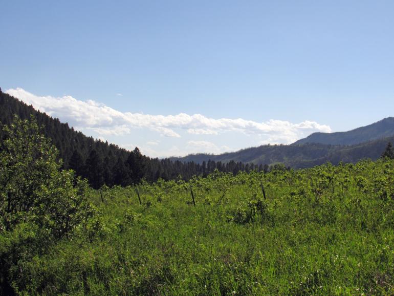 Stone Creek Road