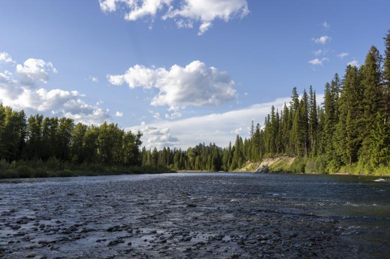 Flathead River Scenic