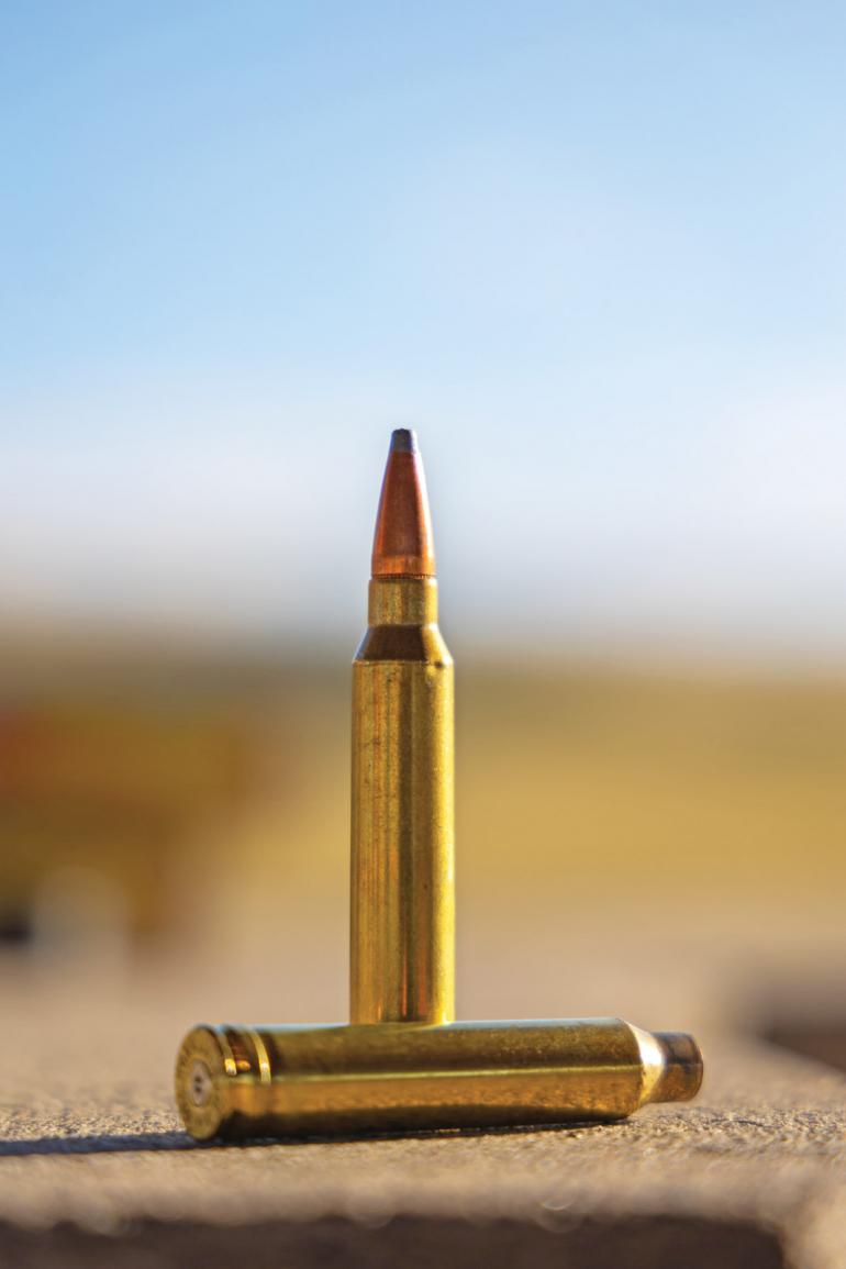 Rifle ammo