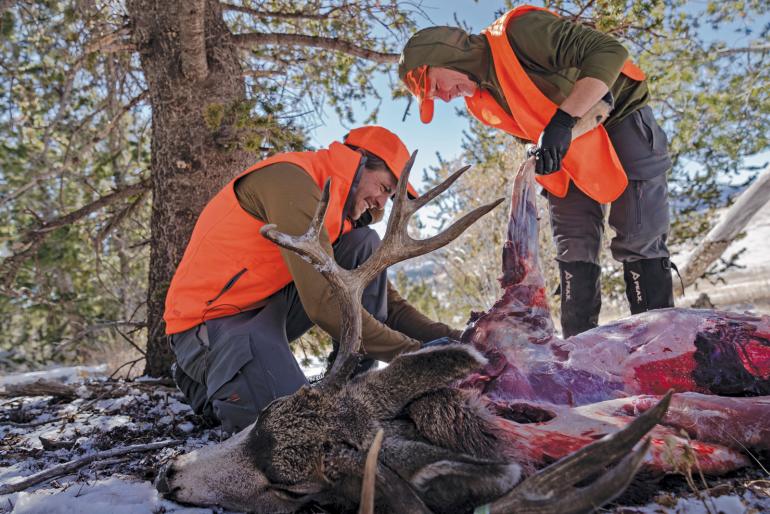 Deer butchering