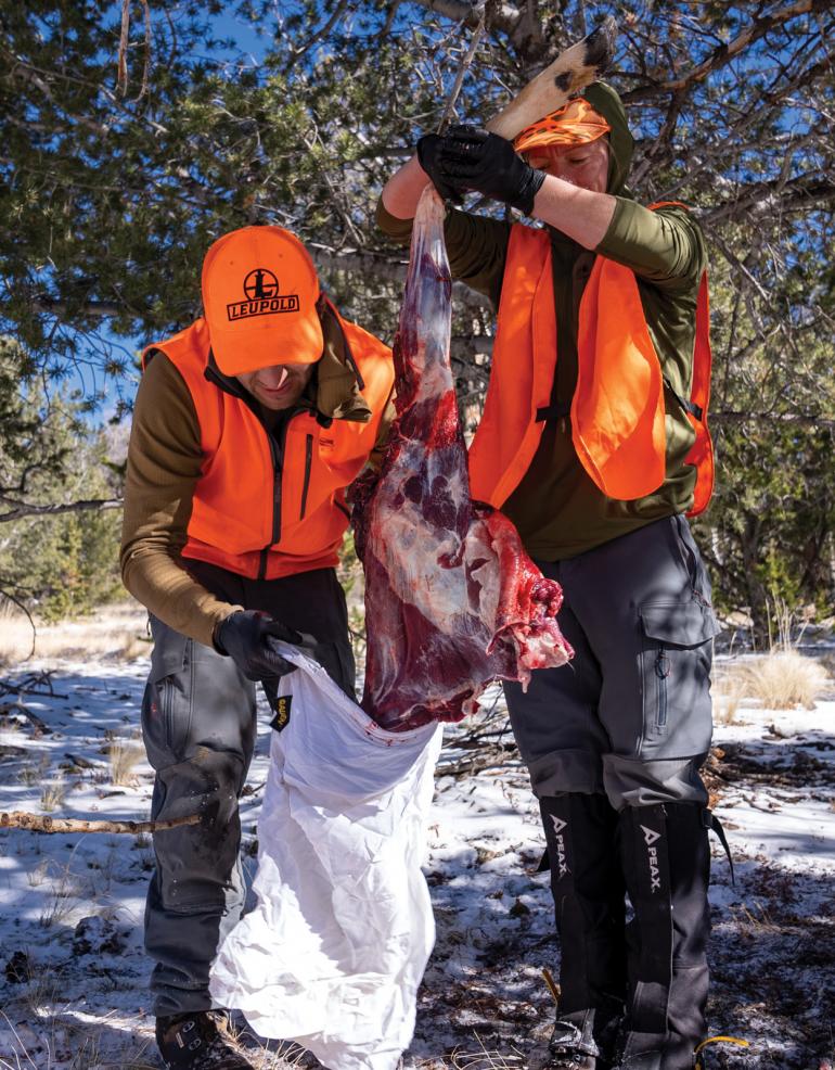 Deer butchering