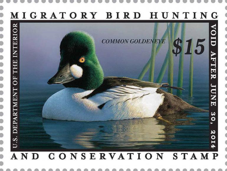 Duck stamp 2013-14