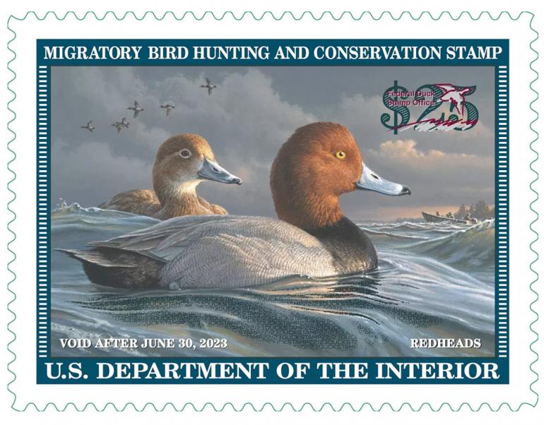 Duck stamp 2022-23