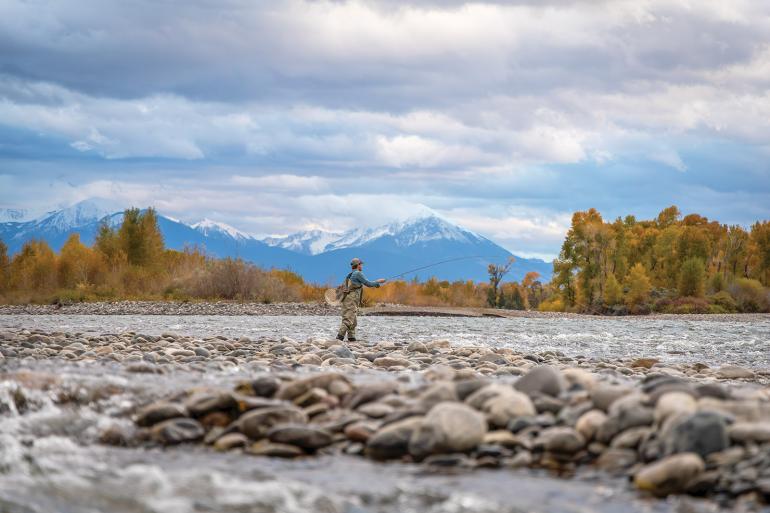 Carter's Bridge fishing yellowstone